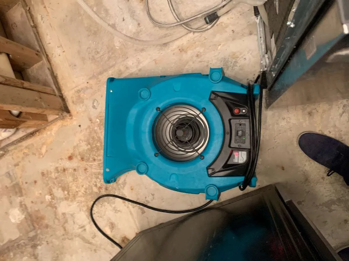 Air mover drying equipment for Mold Remediation & Removal in Corona